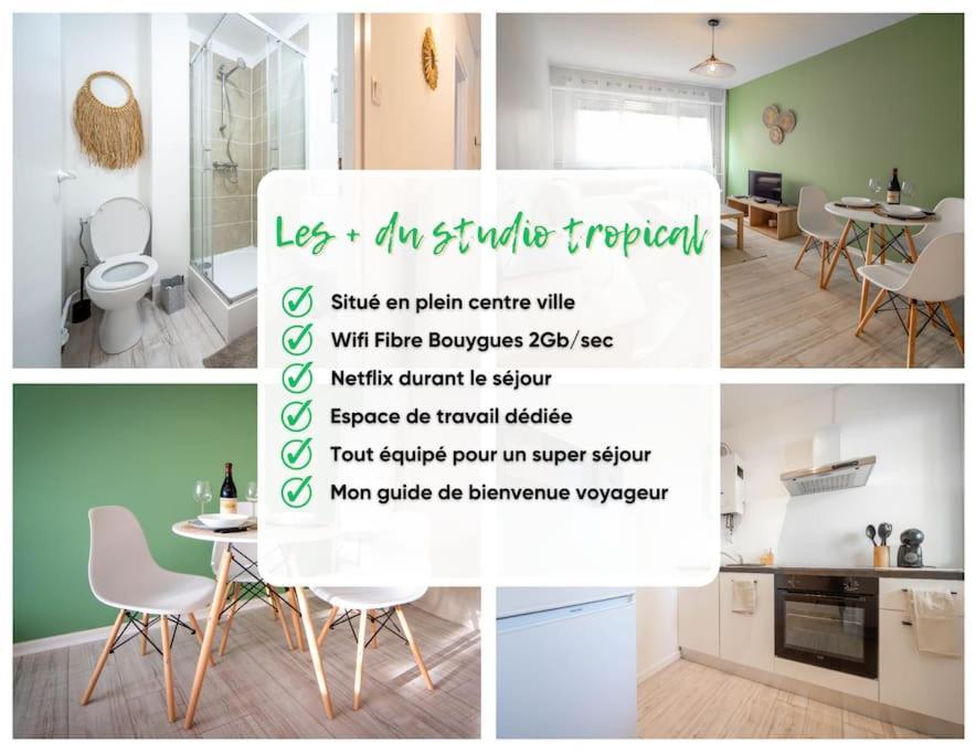 Le Studio Tropical 索恩河畔沙隆 外观 照片